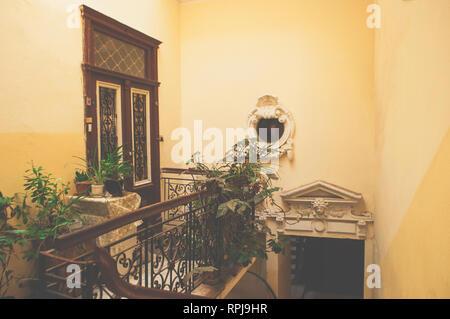 Retrò interno con molti diversi green house di piante in vaso. Foto Stock