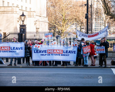 Londra, Inghilterra - Febbraio 14, 2019: gruppo di persone che protestavano davanti al Parlamento di appoggiare la Brexit di Inghilterra al di fuori della Unione Europea Foto Stock