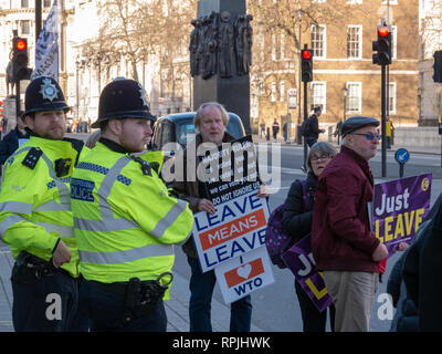 Londra, Inghilterra - Febbraio 14, 2019: gruppo di persone che protestavano davanti al Parlamento di appoggiare la Brexit di Inghilterra al di fuori della Unione Europea Foto Stock