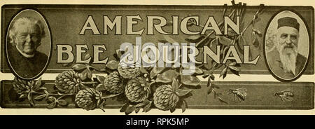 . American bee journal. La cultura delle api; le api. VOL. LIX-NO. 9 Hamilton, ill., settembre 1919 MOMHLY, $1.00 un YFAR per la produzione di miele nel distretto di salvia Note sui metodi di una identità di apicoltore che produce miele su grande scala-da Frank G. Pellett MH. MENDLESON. Di Ventura, California, è ben noto per la • lettori di American Bee Journal. L'apicoltura è stata la sua vita di lavoro e lui è eminentemente riuscita. Durante la California corsi brevi Mendleson era un centro di attrac- tion ovunque. Governo ex- perts e gli editori di riviste di ri- ricevuto la dovuta attenzione, ma è facile vedere che M Foto Stock