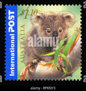 AUSTRALIA - circa 2002: un timbro stampato in Australia mostra il catetere Koala, International Post serie, circa 2002. Foto Stock