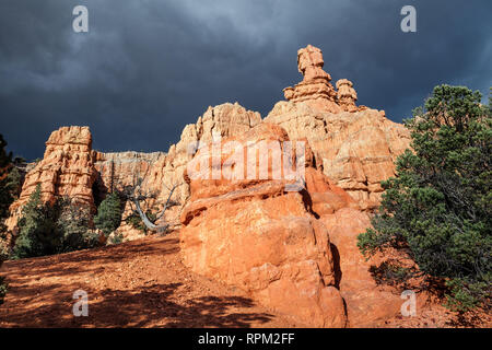 Paesaggio di colorate formazioni di pietra arenaria rossa vicino canyon, Hoodoo Rocks in Utah, Stati Uniti d'America Foto Stock