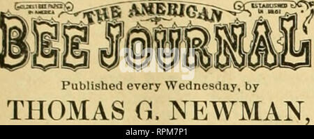 . American bee journal. La cultura delle api; le api. tt ufficiale dedicata agli interessi dei produttori di miele. VOL. XX. CHICAGO, ill., 2 luglio 1884. No. 27.. EDITOr e PnoPHIETOR. Mercati per il miele in Asia- 111 L'Loudon telegrafo di data recente, abbiamo tind un articolo sugli usi del miele in India e che espongono l'incitamento nonché le difficoltà nel modo di tind ins un eccellente mercato ci per il nostro miele di eccedenza. Come siamo sicuri che i nostri lettori saranno molto interessati a questo articolo, si copierà i seguenti porzioni di esso: gli apicoltori saranno interessati a sapere che secondo Foto Stock