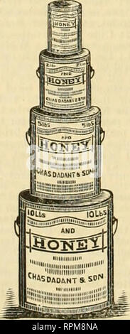 . American bee journal. La cultura delle api; le api. Vetro barattoli di miele. o due libbre; questi sono molto con- venient e attraente per i piccoli con- sumers. Alcuni utilizzano anche i grandi vasi di vetro, ma riteniamo che non sono così buone come tin secchi, come sono venduti da Ch. Dadant &AMP; figlio, per diversi rea- figli. Diamo i seguenti dal libello intitolato "estratto di miele," da Ch. &Amp; C. P. Dadant: non essendo riuscito ad avere successo nella vendita di miele in vasetti di vetro, sul conto della granulazione regolari del nostro miele e il suo aspetto non attraente in vetro poiché sembrava che il burro o il lardo, o anche w Foto Stock