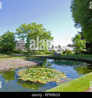 Cotehele House lily pond in motivi motivi, valle Tamar Cornovaglia Foto Stock
