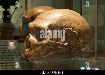 Cranio di Homo neanderthalensis (circa 50.000 anni) in1939 nella grotta Guattari (Circeo), il Museo Preistorico di Pofi, Lazio, Italia Foto Stock
