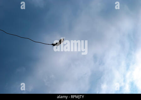 Una femmina di sport d'azione amanti del brivido che salta da un bungee piattaforma. Foto Stock