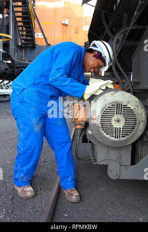 Johannesburg, Sud Africa - 12 Aprile 2012: femmina di controllo tecnico di apparecchiature a combustione di carbone della stazione di alimentazione Foto Stock