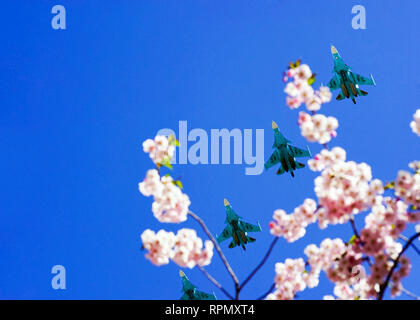 Cielo sereno sopra la vostra testa con fiori di ciliegio e piani di volo . Foto Stock