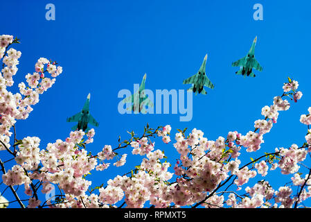 Cielo sereno sopra la vostra testa con fiori di ciliegio e piani di volo . Foto Stock