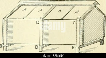 . American bee journal. La cultura delle api; le api. Fig. 1 - una vista di estremità. le gambe al di sotto del serbatoio, o entrambe le aste e ganci piegati possono essere utilizzati e assicurare in tal modo una ulteriore resistenza. Nella seconda figura A A A A sono le finestre di vetro. B B B sono i montanti 0 C C sono le estremità delle viti ; D è il miele gate. Il serbatoio è costituito di due pollici plank, e è 7 m. di lunghezza e 3 m di larghezza e 20 iiiclies alta, tutti all'interno di misura. Tlie estremità devono impostare ritorno dalle estremità dei lati di circa due pollici e lasciare in entrambi i lati e bot- tom about J?8 di un pollice. Tlie tetto dovrebbe essere reso stagno, in modo che non perderà ; un lato è Foto Stock