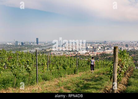 Una giovane donna a piedi attraverso i vigneti del Nussberg, Danube City, Vienna, Austria Foto Stock