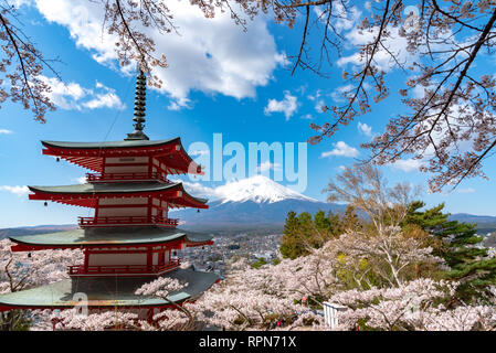 Il monte Fuji visto da dietro Chureito Pagoda in piena fioritura fiori di ciliegio & blue sky sfondo naturale. Arakurayama Sengen Park,Yamanashi, Giappone Foto Stock