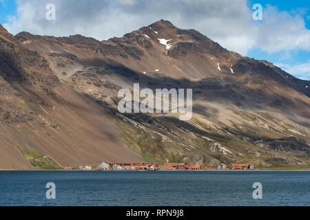 Stromness Stazione Baleniera, Stromness Harbour, Georgia del Sud Foto Stock