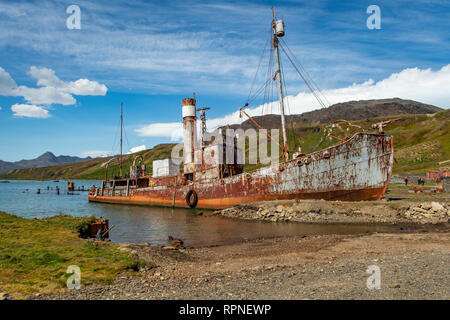 Relitto della Petrel a Grytviken, Georgia del Sud Foto Stock