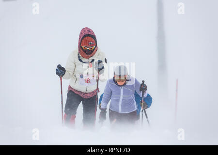 ALMATY KAZAKHSTAN - Febbraio 03 2019: persone non identificate a piedi attraverso una tempesta di neve durante il concorso AlpineRais in montagna durante il Foto Stock