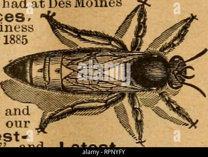 . American bee journal. La cultura delle api; le api. Ora siamo in grado di fornire stiipsofPeifoiated di zinco con 2 file di fori, 9ixl9, fabbricato da Dr. G. L. Tinker, ai seguenti prezzi: da 100 a 500, per cento 1,60 dollari da 500 a 1.000, " 1,55 1.000 fo 2.000, " 1.50 Tutti gli ordini prontamente riempita. THOMAS G. NEWMAN &AMP; figlio, 246 East Madison San, - Chicago, ill. Western Bee-Keepers' Casa alimentazione Root'sCoodS può essere dovuto a Des Moines nello Iowa, alla radice i prezzi- la più grande azienda di alimentazione in Occidente. Stabilito 1885 alveari a coda di rondine, sec- zioni, Foundation, Ex- Trattori, fumatori, veli, casse, alimentatori, trifoglio Foto Stock