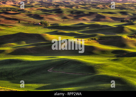 Le colline della Palouse in Eastern Washington come visto da Steptoe Butte parco dello stato. Foto Stock