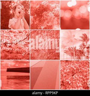 Collage nel quartiere alla moda di colori dei coralli, ragazza ridere, bokeh, texture, palme, fiori messa a fuoco selettiva Foto Stock