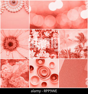 Collage nel quartiere alla moda di colori dei coralli, varietà di oggetti, la carta cinese ventole, Palm tree, posateria, fiori, il fuoco selettivo Foto Stock