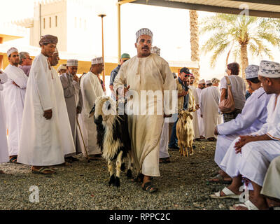 Nizwa, Oman - 2 Novembre 2018: Omani uomo mostra una pecora per asta al Nizwa mercato degli animali Foto Stock