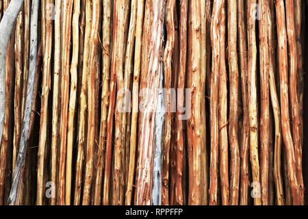 Cose armonioso Foto Stock