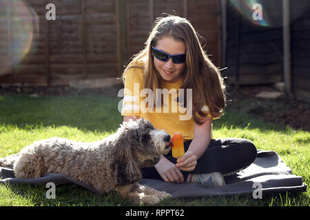 Peterborough, CAMBRIDGESHIRE, Regno Unito. 22 feb 2019. Cookie Il cockapoo cane ha un subdolo leccare di ragazze per lecca-lecca di ghiaccio come il clima si riscalda in Peterborough, CAMBRIDGESHIRE, Regno Unito il 22 febbraio 2019. Credito: Paolo Marriott/Alamy Live News Foto Stock