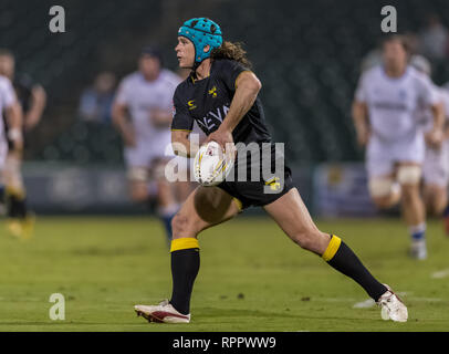 Febbraio 22, 2019 Houston SaberCats hooker Pat O'Toole (2) durante la mostra gioco tra Toronto e le frecce SaberCats Houston al campo di costellazione, Sugar Land, Texas. A metà tempo Toronto frecce sono in alto al di sopra della Houston SaberCats 27-10. © Maria Lysaker/Cal Sport Media Foto Stock