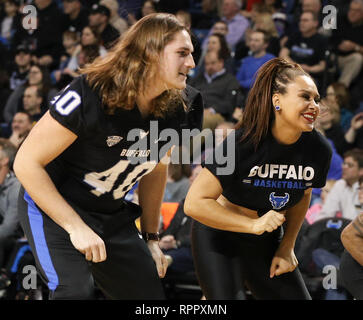 Amherst, New York, Stati Uniti d'America. Feb 22, 2019: Buffalo tori Punter Evan Finegan (40) realizza con la UB Dazzler durante un timeout nella prima metà del gioco nella NCAA pallacanestro tra la Kent State Golden lampeggia e il bufalo tori a Alumni Arena in Amherst, N.Y. (Nicholas T. LoVerde/Cal Sport Media) Credito: Cal Sport Media/Alamy Live News Foto Stock