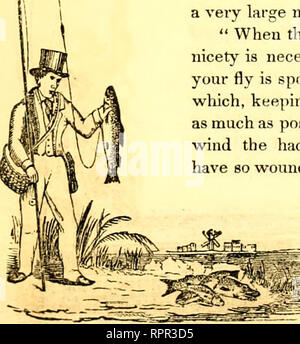 . American Angler's guide : o, completo di fisher, manuale per gli Stati Uniti: contenente i pareri e le pratiche dei pescatori esperti di entrambi gli emisferi ; con l'aggiunta di una seconda parte.. La pesca. Ill r. stringere in un apposito modulo, frusta verso il basso e fissarlo off come prima diretto, che porterà in entrambe le estremità della seta nel piegare. Dopo aver cerato il vostro nuovo di seta, prendere tre o quattro filamenti di piume di struzzo e la loro detenzione e piegate del vostro gancio come al primo diretto, le piume per la mano sinistra e le radici nella piegata del vostro gancio, con l'estremità della seta whic Foto Stock