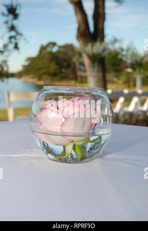 New Orleans, Louisiana, Stati Uniti d'America. Marzo 14, 2012. Una rosa rosa offre decorazioni da tavola per un piccolo ricevimento di nozze. Foto Stock