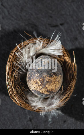 Uova nel nido e piume bianche. Concetto di pasqua con uova piccole su sfondo scuro. Foto Stock