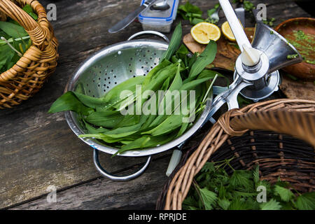 Foraged piante commestibili in Sussex, Regno Unito Foto Stock