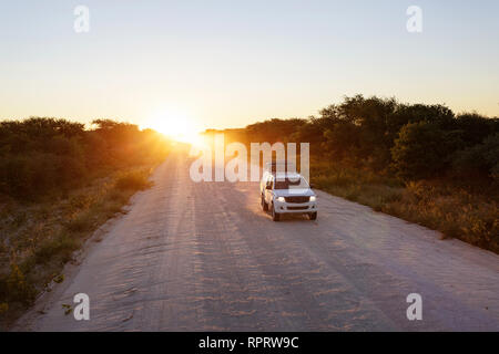 Tramonto a Savannah con una vettura di guida sollevamento di un sacco di polvere. Strada di Tsumkwe, Namibia, Africa Foto Stock