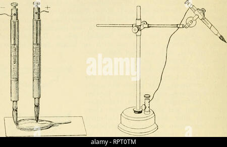 . Allgemeine Physiologie. Ein Grundriss der Lehre vom Leben. Biologia e Fisiologia. 272 Drittes Capitel. Drahtpolen bedingt eine elektrische Spannung, welche zu einem, dem ursprünglichen entgegengesetzt gerichteten Strome, dem sogenannten "Polarisationsstrom","führt. Es liegt auf der mano, dass, je stärker sich der Polarisationsstrom entwickelt, um in modo mehr die Intensität des. I n Fi"". 122. Elektroden Unpolarisirbare. / Zwei unpolarisirbare Elektroden sind anleinen durchschnittenen Wadenmuskel des Frosches angelegt. II Eine unpolarisirbare Elektrode in ihrem Stativ.. Si prega di notare che t Foto Stock