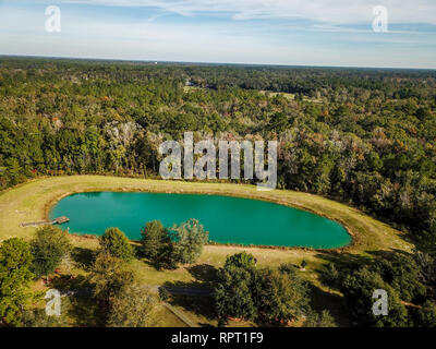 Corpo piccolo di acqua da aereo Drone vista in una fitta foresta verde Foto Stock