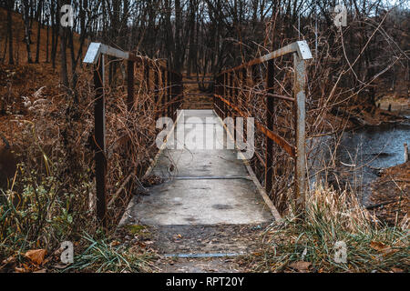 Abbandonato il vecchio ponte di ferro attraverso il lago in autunno park. Vista in prospettiva Foto Stock