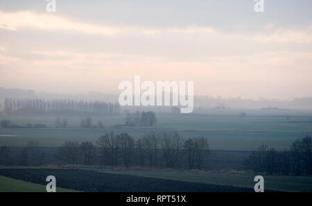 La Svezia, la nebbia è un aerosol visibile costituito da minuscole goccioline di acqua o cristalli di ghiaccio sospesi in aria in corrispondenza o in prossimità della superficie della terra.[1] la nebbia possono essere Foto Stock