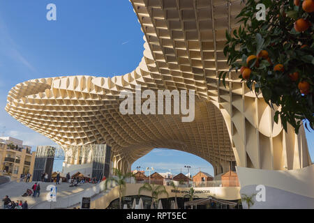 Sevilla Metropol Parasol, popolarmente noto come i funghi dell'Incarnazione, è una struttura in legno con 2 colonne di cemento Foto Stock