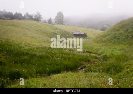 Ampio panorama del bellissimo prato di nebbia. Nebbia fitta su un flusso in un prato e alberi sagome a inizio autunno mattina Foto Stock