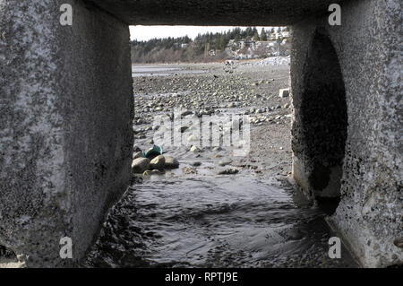 Guardando attraverso un canale sotterraneo durante la bassa marea sulla bianca spiaggia di roccia nella città di roccia bianca, British Columbia, Canada Foto Stock