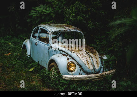 Auto abbandonate nella natura Foto Stock