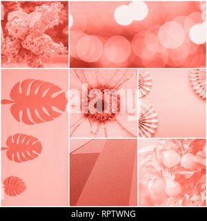 Collage nel quartiere alla moda di colori dei coralli, varietà di oggetti, la carta cinese ventole, bokeh, sfondo, fiori, il fuoco selettivo Foto Stock