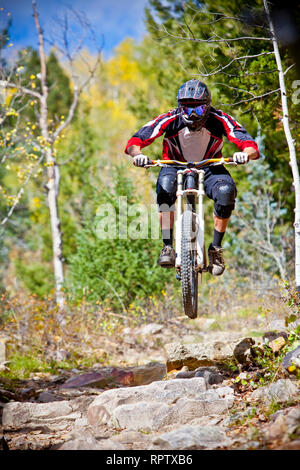 In discesa in mountain bike Foto Stock