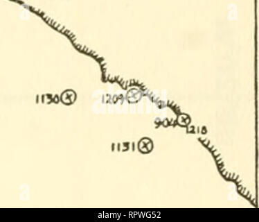 . Allan Hancock Pacific spedizioni. Spedizioni scientifiche. 12"© SAN PEDRO UI2©®IZM ©urna ©iii&LT;. Canale ii7""© )l" HO222 I12" ©II39 &amp;1I28 I22J 0IIU. ©ui" QStfU 12IJ Grafico 5I0I grafico 26. Si prega di notare che queste immagini vengono estratte dalla pagina sottoposta a scansione di immagini che possono essere state migliorate digitalmente per la leggibilità - Colorazione e aspetto di queste illustrazioni potrebbero non perfettamente assomigliano al lavoro originale. Allan Hancock Foundation. Los Angeles : Allan Hancock Fondazione per la ricerca scientifica, la University of Southern California Premere il tasto Foto Stock