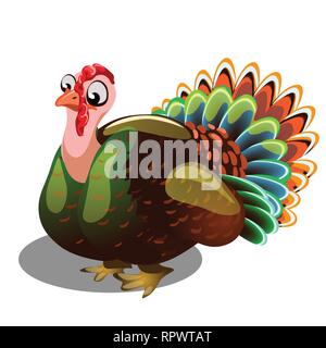Fat gobbler isolati su sfondo bianco. Vector cartoon close-up illustrazione. Illustrazione Vettoriale