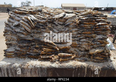 Zone di trasformazione per la produzione tradizionale di sole-essiccati, brasati e salate alacce (Kejax pesce essiccati) nei pressi di Mbour, Senegal Foto Stock