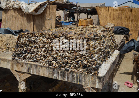 Zone di trasformazione per la produzione tradizionale di sole-essiccati, brasati e salate alacce (Kejax pesce essiccati) nei pressi di Mbour, Senegal Foto Stock