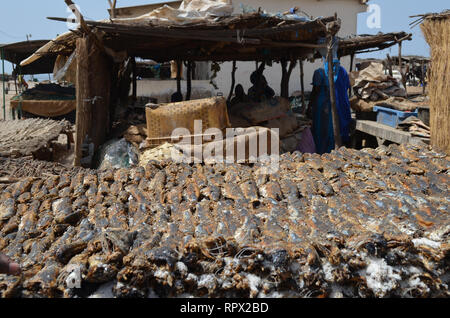 Zone di trasformazione per la produzione tradizionale di sole-essiccati, brasati e salate alacce (Kejax pesce essiccati) nei pressi di Mbour, Senegal Foto Stock