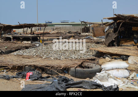 Zone di trasformazione per la produzione tradizionale di sole-essiccati, brasati e salate alacce (Kejax pesce essiccati) nei pressi di Mbour, Senegal Foto Stock